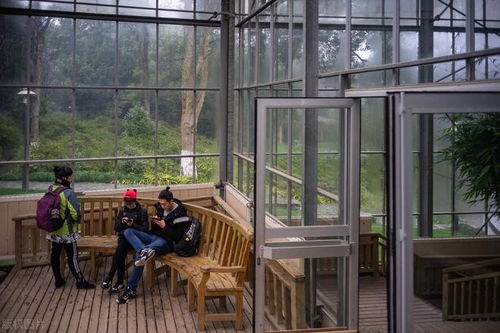 招门窗安装大工中工，日薪360元包住，诚邀加入门窗加工销售团队